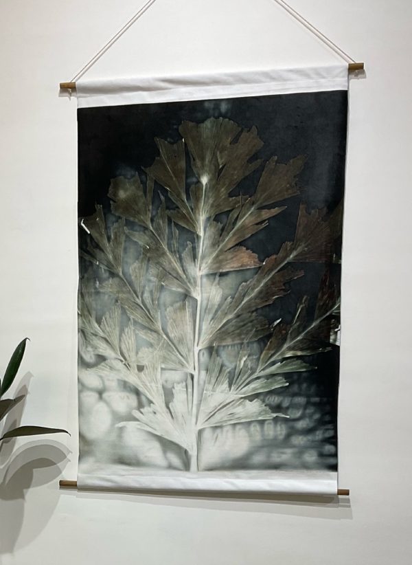Dark Fern Study